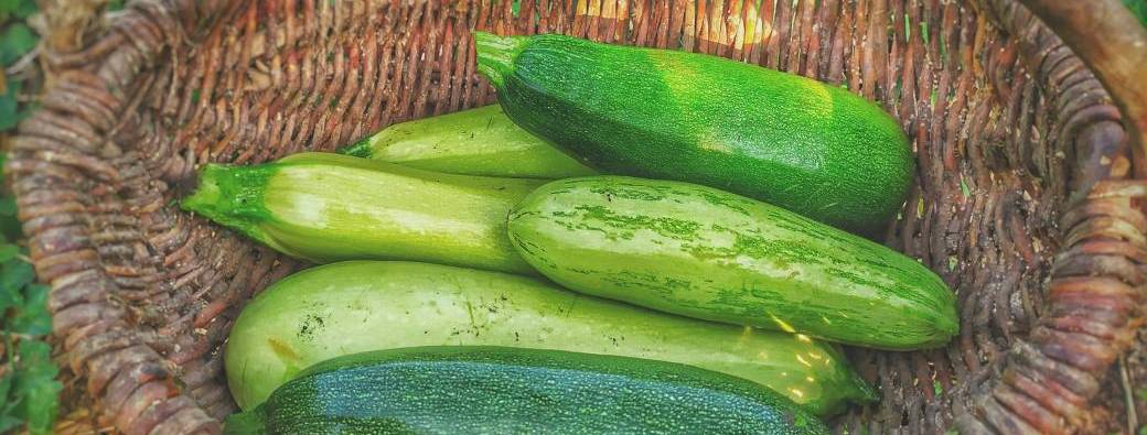 Atelier adulte 3h Autour de la courgette de l'entrée au dessert