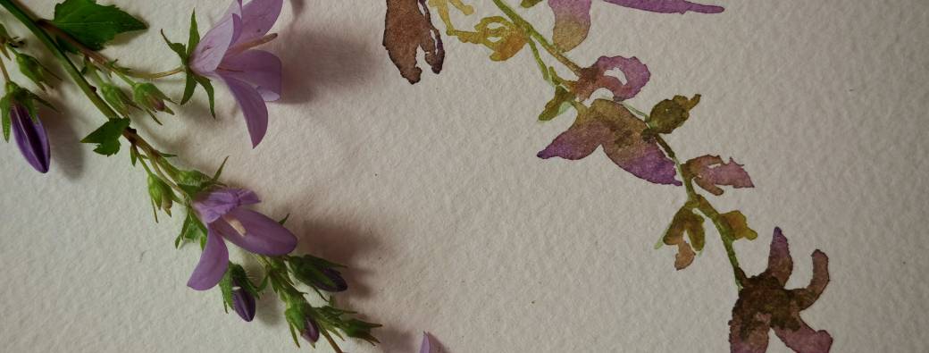 Atelier aquarelle "Fleurs in situ"