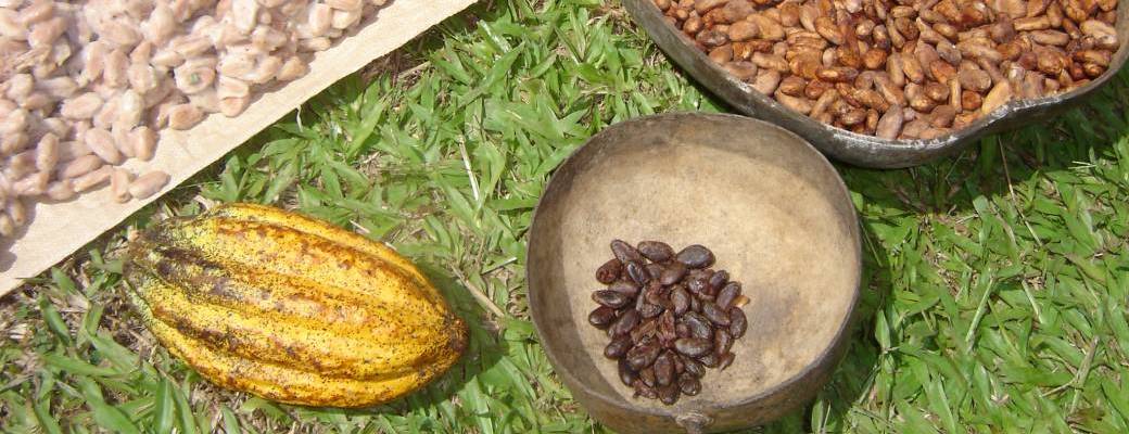 Atelier Baton de CACAO