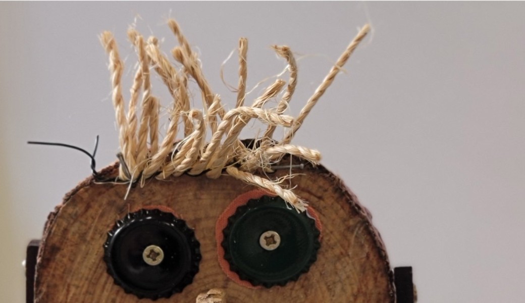 Atelier bêtes curieuses