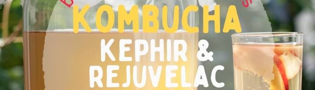 Atelier | Boissons lacto-fermentées : kombucha, kefir & Rejuvelac