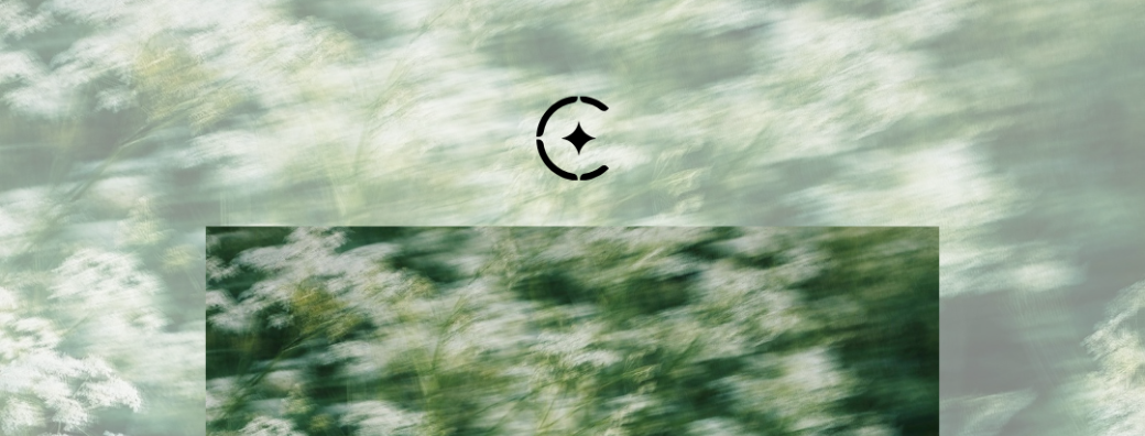 Atelier Bulle poétique & sonore