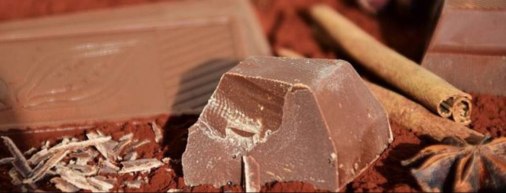 Atelier cacao