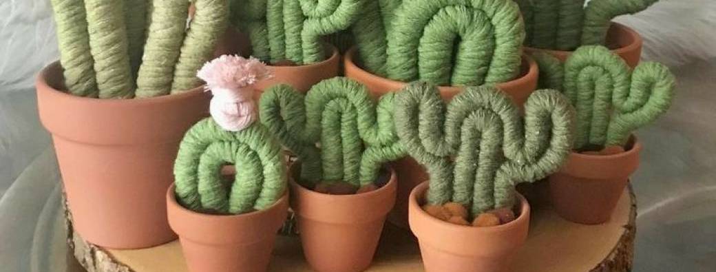 Atelier CACTUS en macramé / Ollioules