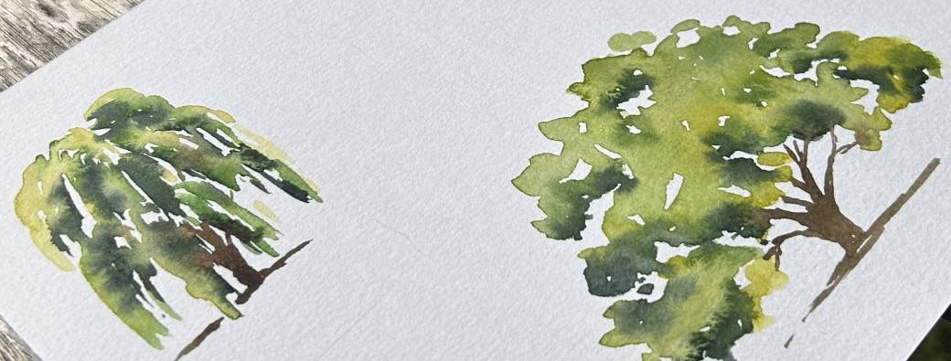 Atelier café / aquarelle ☕  Arbres & carnet de voyage 