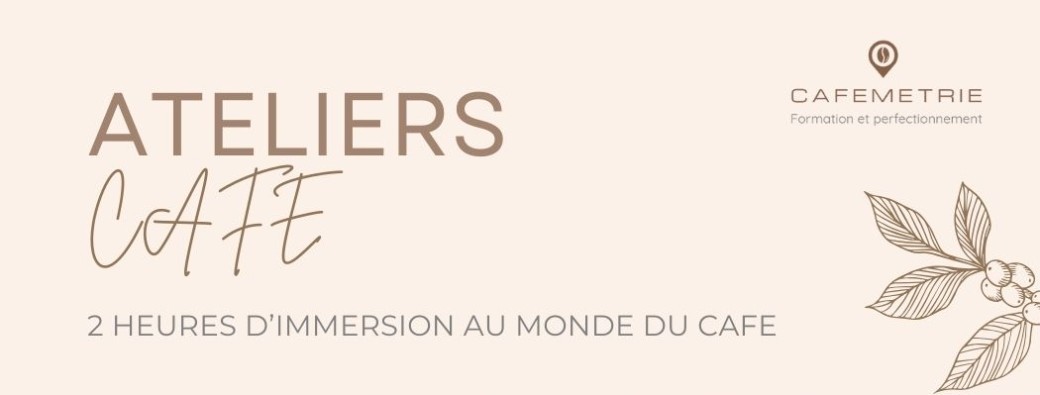 The Atelier Café Discovery 3 x 4 oz Collection