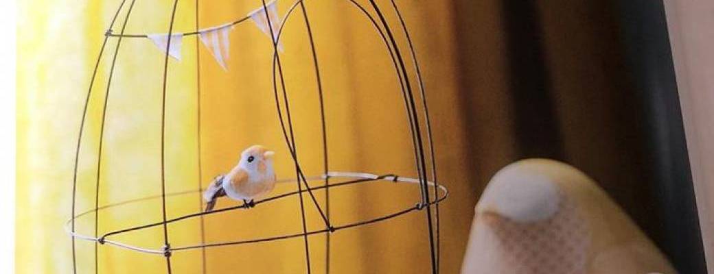 Atelier "cage à oiseau" en fil de fer
