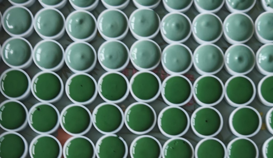 Atelier carnet de croquis faune et flore de Meneham à l'aquarelle