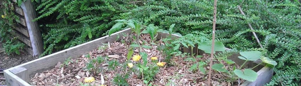 Atelier "Carré potager" en permaculture à Good Place
