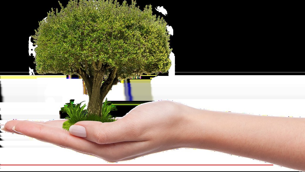 Atelier "C'est quoi l'écologie ?"