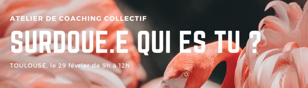 Atelier coaching collectig : Surdoué.e qui es tu ?