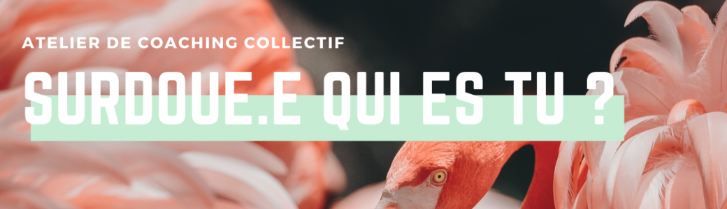 Atelier coaching collectig : Surdoué.e qui es tu ?
