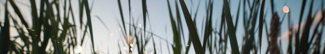 REGULER SON STRESS PAR LA COHERENCE CARDIAQUE 