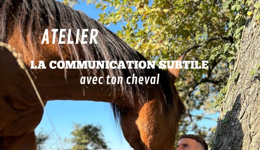 Atelier communication subtile avec ton cheval