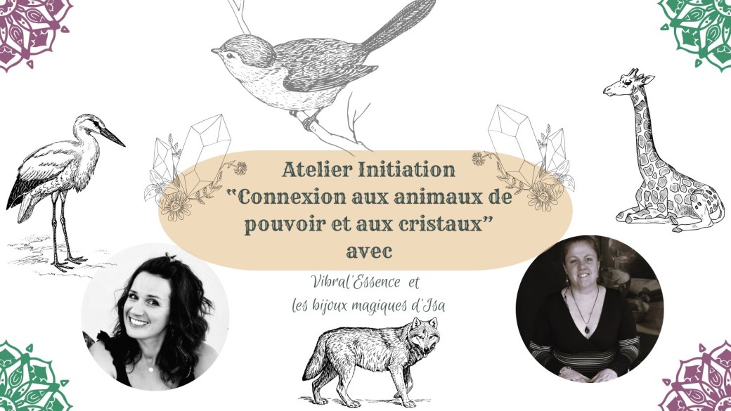 Atelier connexion sagesse animale et cristaux