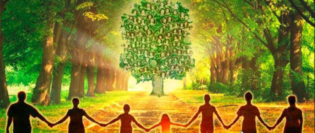 Atelier Constellations : changer de regard pour changer son monde