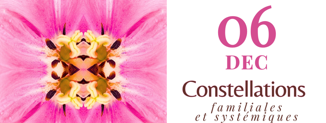 Atelier Constellations familiales et systémiques