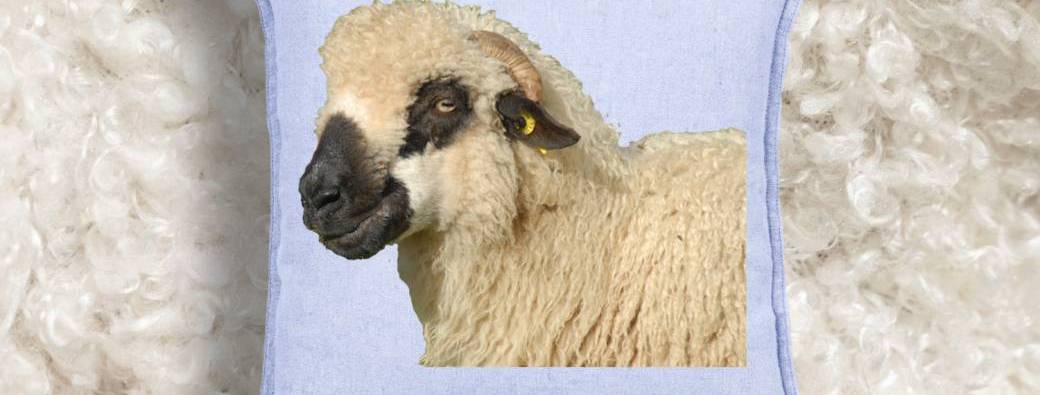 Atelier : Coussins tout doux