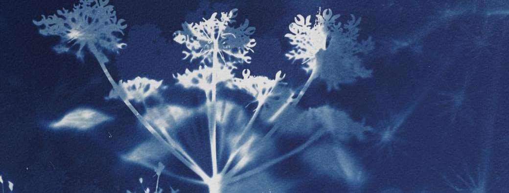 ATELIER CRÉATIF ZEPAUSE l COFFEE/TEA & CYANOTYPE 