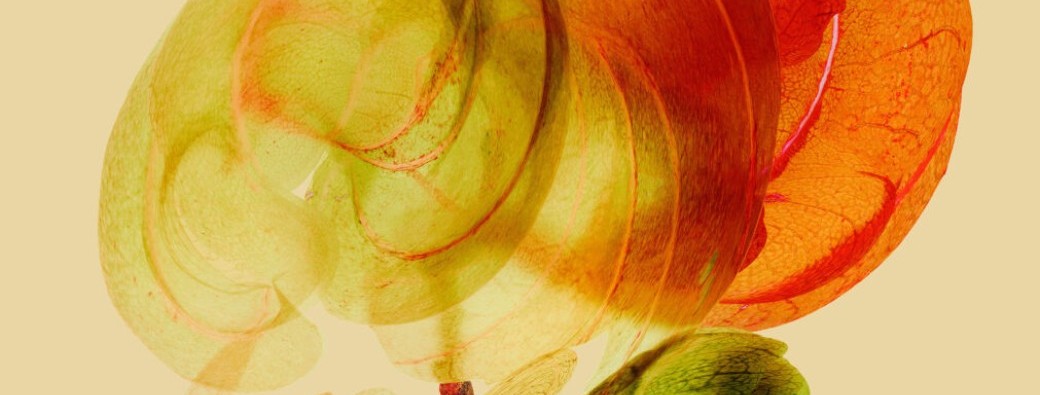 Atelier créatif en famille C'est chou