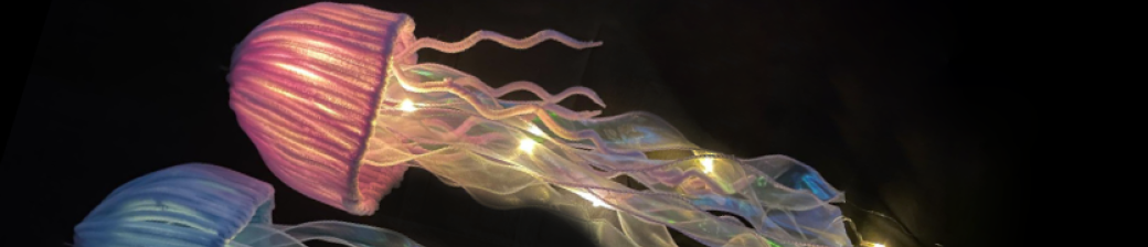 Atelier créatif : fabriquez une méduse bioluminescente !