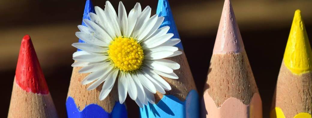 Atelier créatif p'tites bêtes - A partir de 6 ans - Chéméré