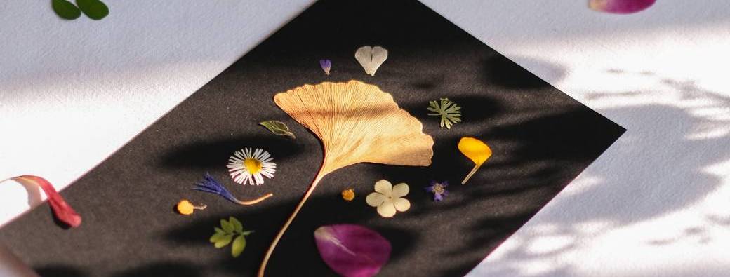 Atelier Créatif : Réaliser son Herbier Sauvage