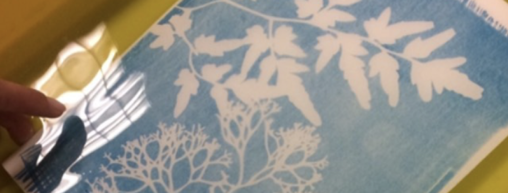 Atelier "Création Cyanotype" avec Anita Gauran