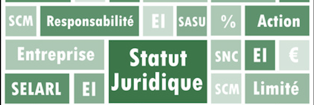 Atelier : Création d’entreprise, quel statut juridique choisir ?