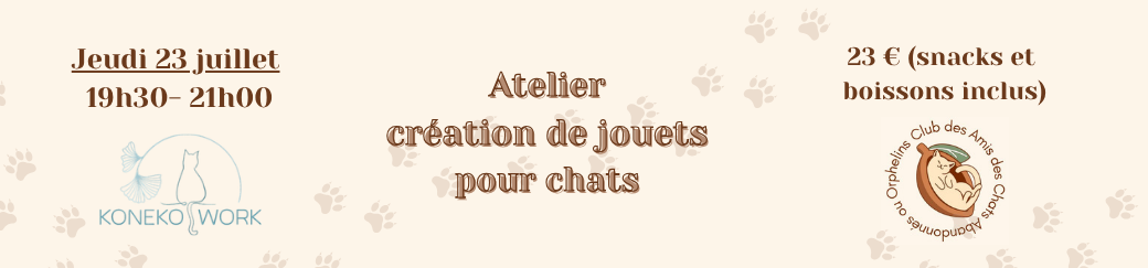 Atelier création de jouets pour chat
