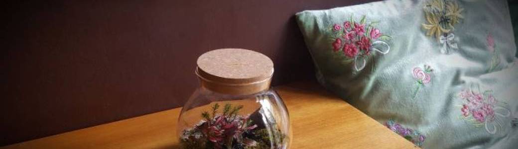 Atelier création de terrarium