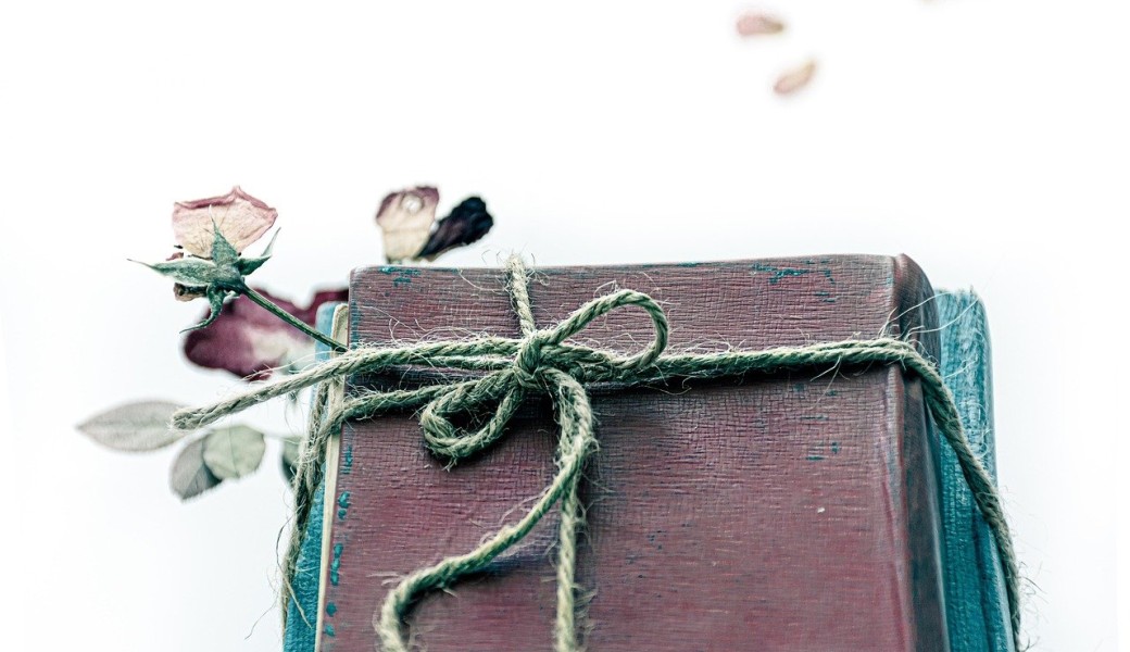 Atelier - crée ton herbier !