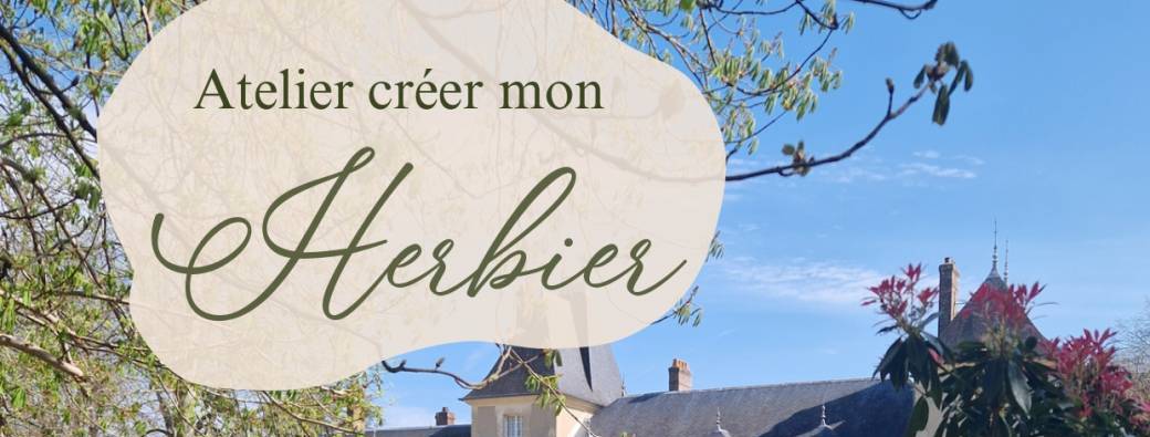 Atelier "créer son herbier"