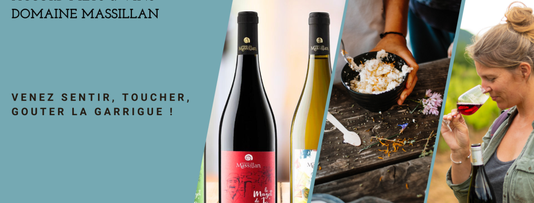 Atelier cueillette et cuisine sauvage au domaine Massillan