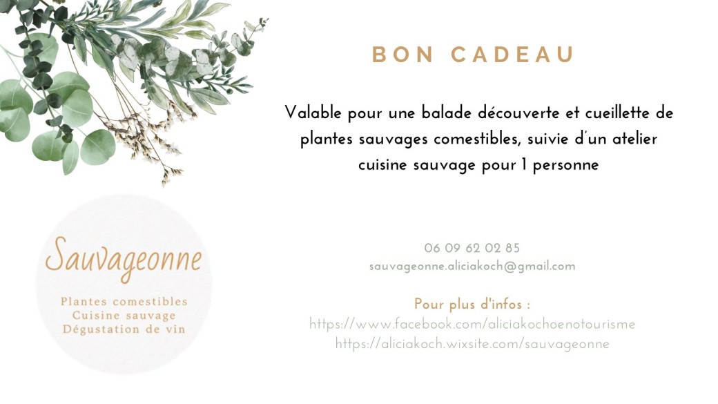 Atelier cueillette et cuisine sauvage en petit groupe valable pour 1 personne