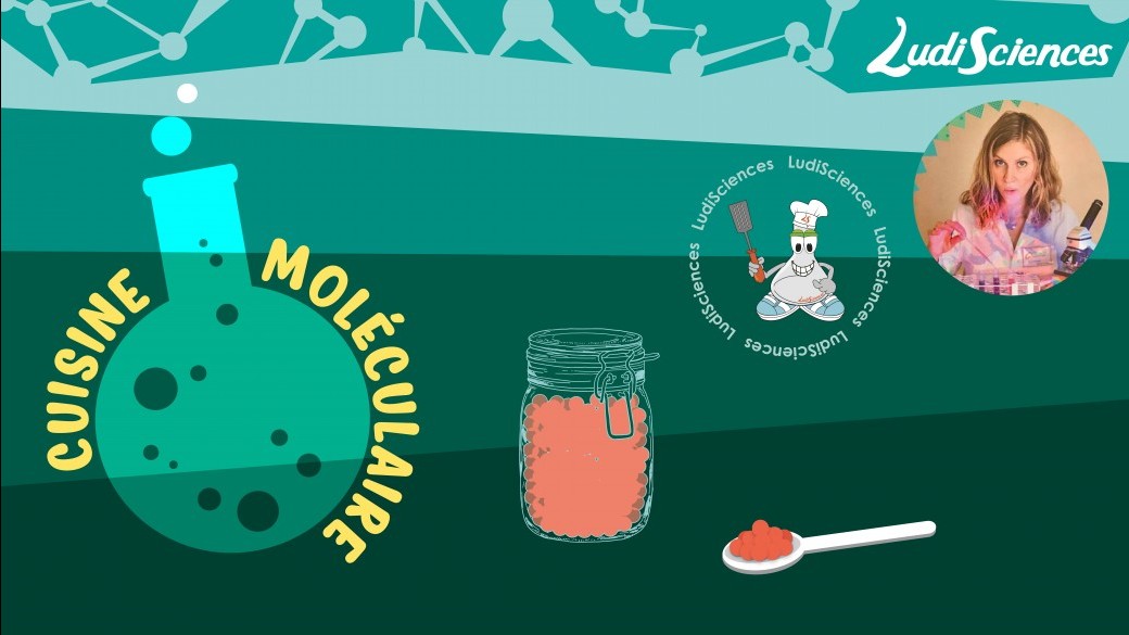 Atelier Cuisine moléculaire 4-10 ans (Tournefeuille)
