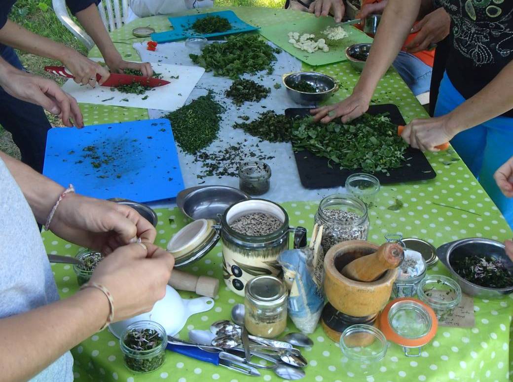 Atelier Cuisine Sauvage 