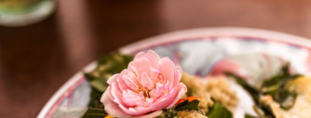 Atelier : cuisinons avec les plantes sauvages !