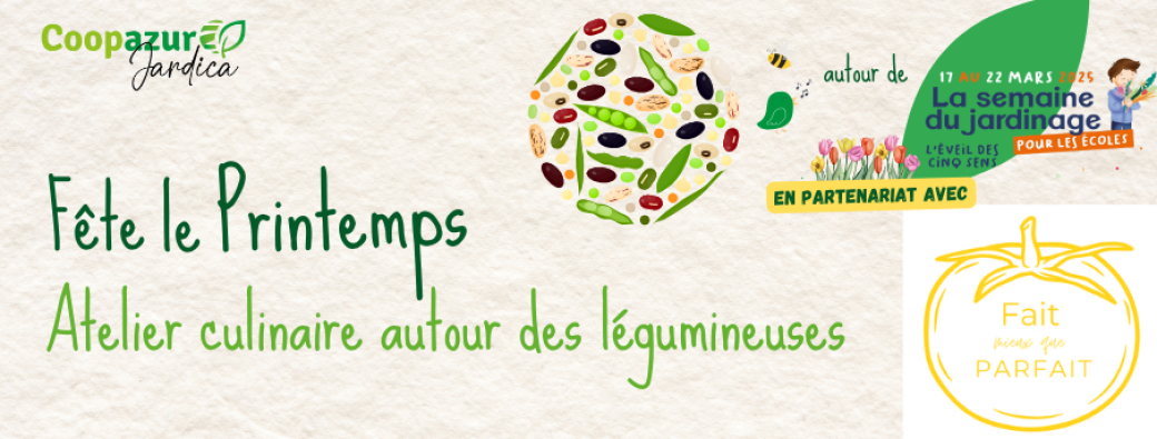 Atelier culinaire autour des légumineuses 