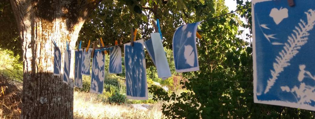 Atelier cyanotype