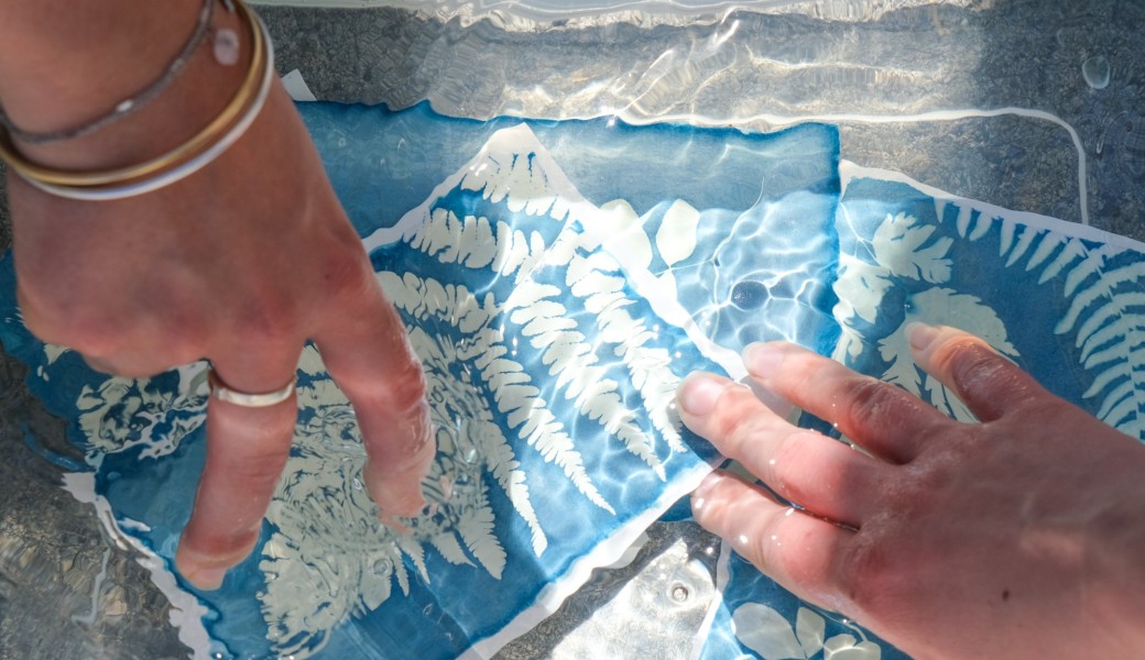 Lyon - Atelier cyanotype sur papier et bois