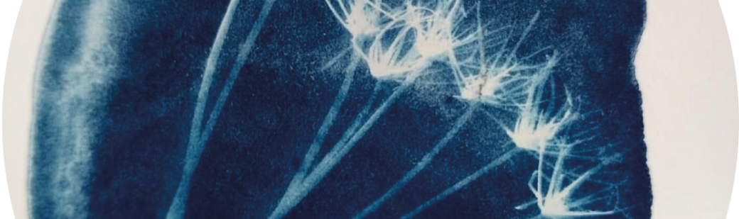 Atelier Cyanotype avec Chloé Dragna