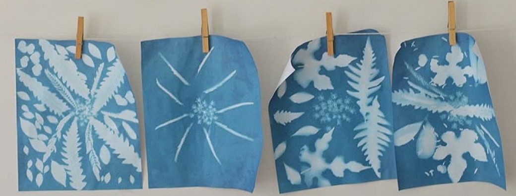 ATELIER CYANOTYPE : créez une affiche bleue unique