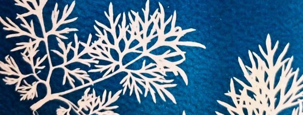 Atelier Cyanotype graphique, jouons avec les formes et la lumière 