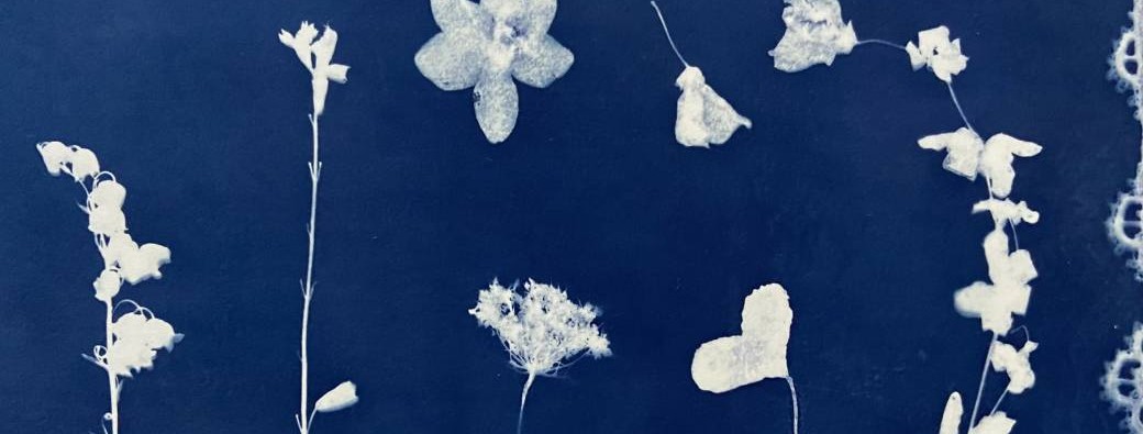 Atelier cyanotype - La magie du Bleu