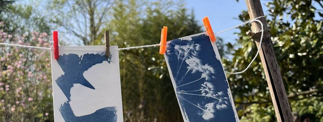 Atelier Cyanotype - Sadel 