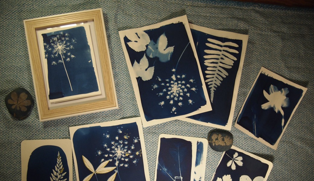 Atelier Cyanotype