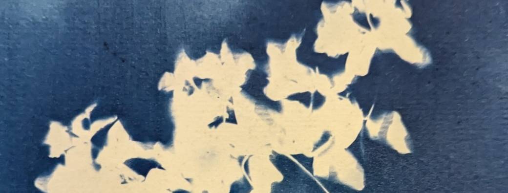Atelier cyanotypes au Dam'Oui à Saint Pierre Quiberon