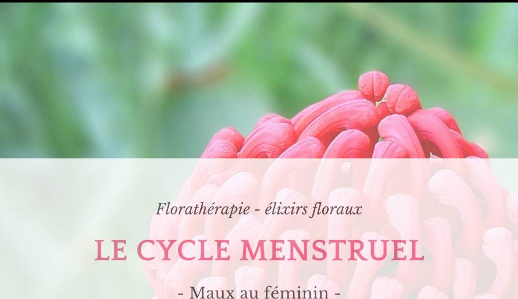 Atelier - Cycle menstruel et élixirs