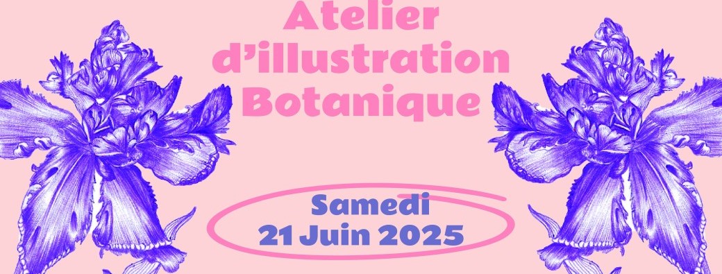 Atelier d’illustration botanique à Toulouse – 21 Juin 2025 